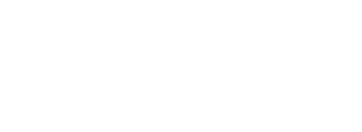 SCHAUMBURG WATCH